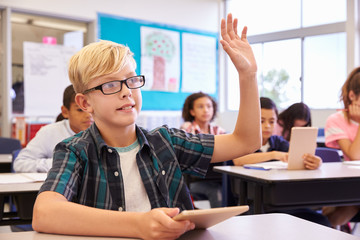 Boy with glasses raising hand in elementary school class
