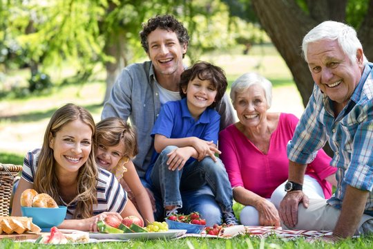 Smiling family having a picnic