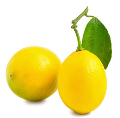 Two lemons with leaf