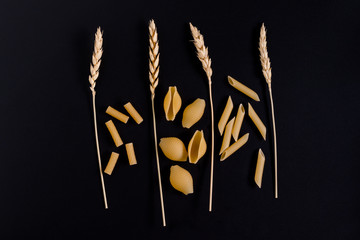 Wheat ears are surrounded by pasta on a dark background