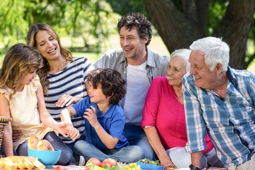 Smiling family having a picnic