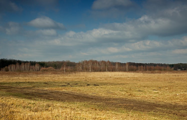 Interesting early spring landscape of meadows