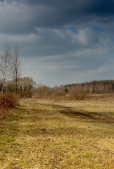 Fototapeta na wymiar Sandy road through the meadow early spring in Poland