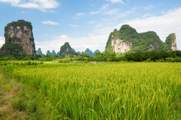 Karst mountains landscape in southern china 