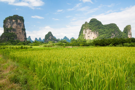 Fototapeta Karst mountains landscape in southern china 
