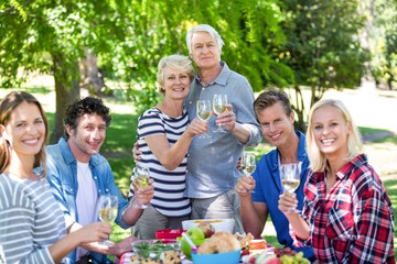 Friends having a picnic with wine