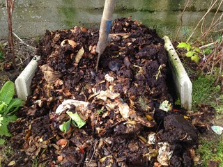 tas de compost dans le jardin,pelle 