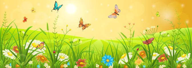 Summer meadow banner with flowers, grass and butterflies