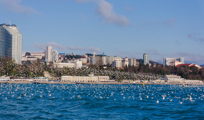 SOCHI, RUSSIA 
