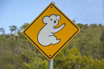 Koala warning sign in Queensland, Australia