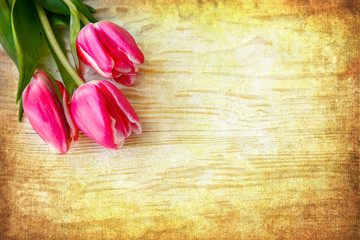 Pink Spring Tulips On White Wood Table