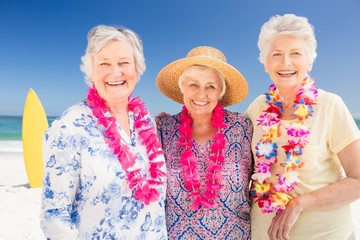 Portrait of smiling senior woman