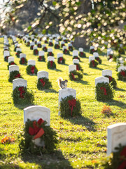Playing at the Cemetery