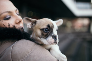 Young casually dressed woman holding her adorable French bulldog puppy. Close up shot with wide angle lens. City street in background.