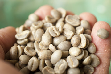 Toscana,Firenze,torrefazione di caffè.