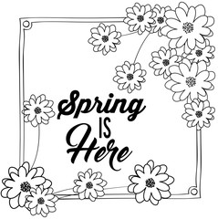 hello spring design