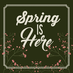 hello spring design