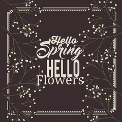 hello spring design