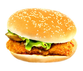 delicious big burger