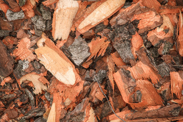 cut off tree bark