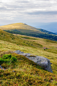 mountain landscape with stone and peak