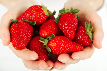 Hands holding strawberries