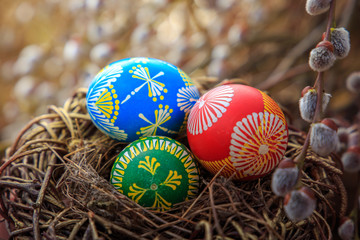 hand painted easter eggs in a nest, spring willow branches with blossoming buds. blurred background