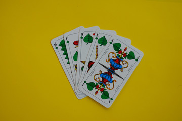 Bayerische Spielkarte Blatt