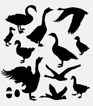 Duck, swan, goose, poultry activity silhouette. Good use for game elements, symbol, logo, web icon, sticker, sign, mascot, avatar, or any design you want. Easy to use.