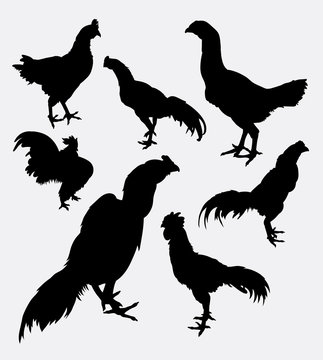 Rooster, cock, hen, chicken silhouette 1. Good use for symbol, logo, web icon, game element, object, mascot, sticker, sign, or any design you want. Easy to use.