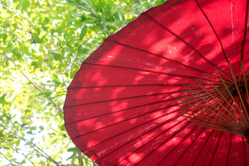 Red Umbrella outdoor and green leaf
