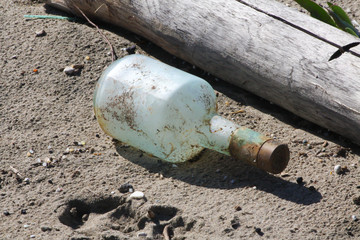 Obraz premium Rubbish bottle