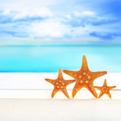 Summer beach with starfish. background sea.