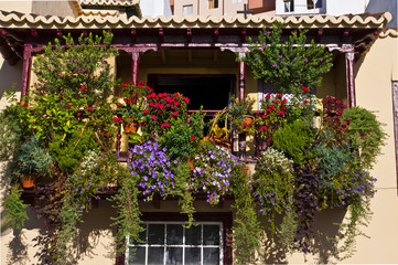 Balconies with flowers