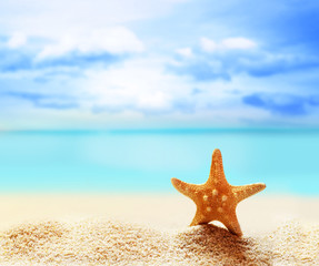 Fototapeta na wymiar Summer beach with starfish. background sea.