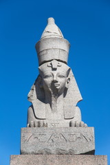 sphynx