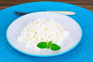 Home Dietary Fat Cottage Cheese Beaded Curd