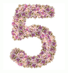 Numbers made of flowers isolated on white background