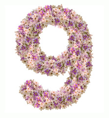 Numbers made of flowers isolated on white background