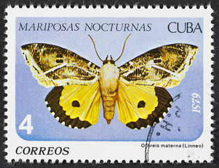 Fototapeta na wymiar CUBA - CIRCA 1979: a stamp printed in the Cuba shows Othreis Materna, Nocturnal Butterfly, circa 1979