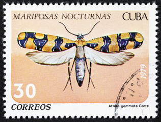 CUBA - CIRCA 1979: A stamp printed in Cuba shows butterfly with the inscription Attera gemmata,...