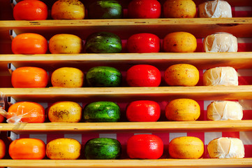 Colorful Dutch cheese on shelves - obrazy, fototapety, plakaty