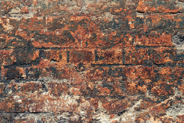 Obraz premium Old brick wall