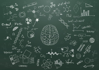 brain science chalkboard