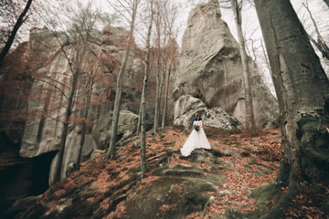Gorgeous bride, groom kissing and hugging near the cliffs with stunning views