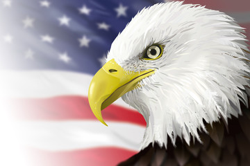 Bald Eagle on US flag