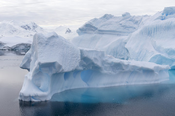 Iceberg at Curtis Bay, Antarctica.
