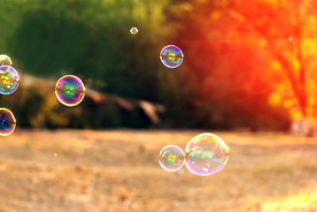 soap bubble in the sun. beautiful summer bokeh