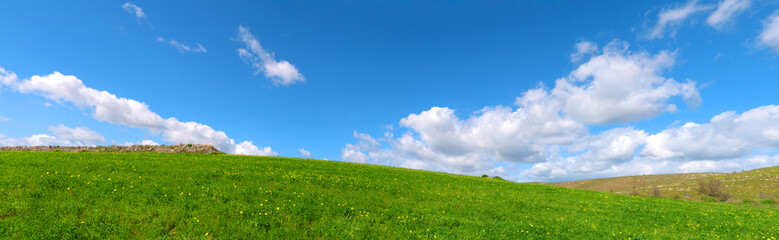 Fototapeta premium Bellissimo panorama di una collina verde con delle nuvole nel cielo azzurro - Salviamo il Pianeta Terra - 
