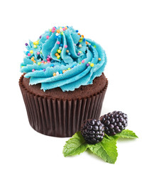 chocolate cupcake with fresh  blackberries isolated on white